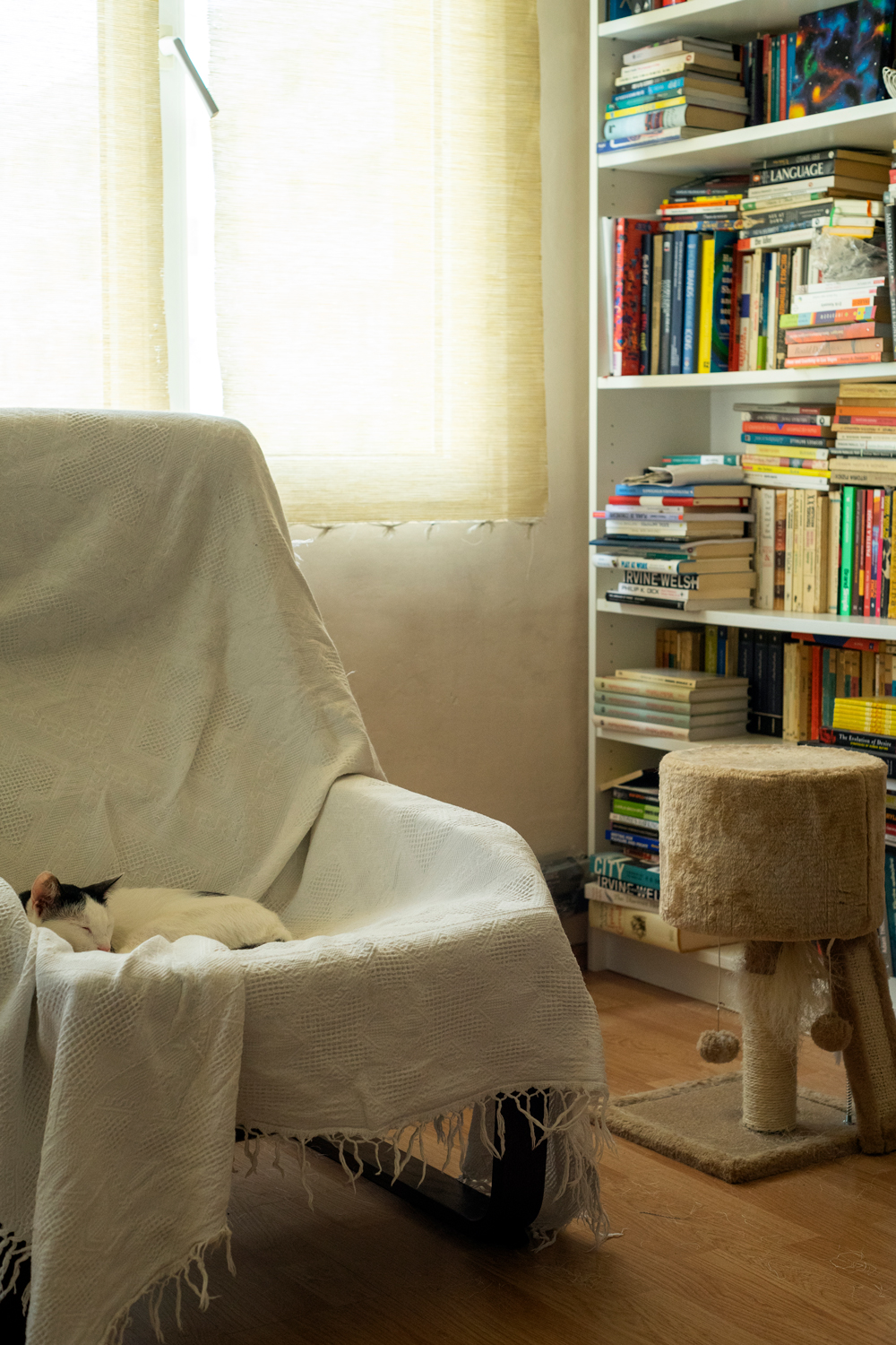 tur de casa lovedeco cristian neagoe