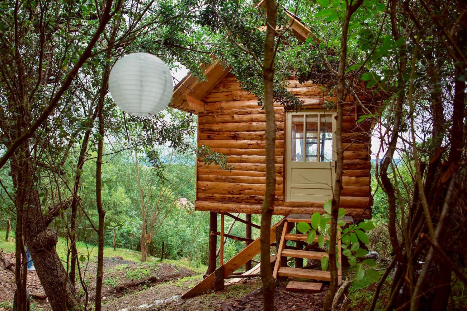 airbnb la munte treehouse transilvania