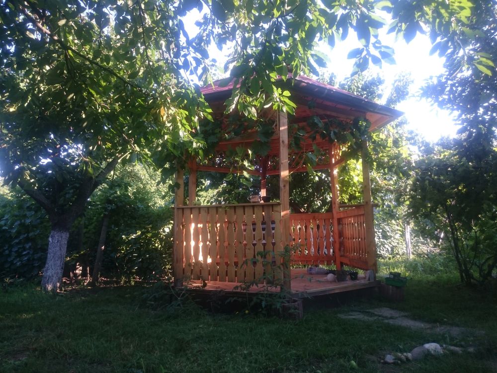 foişorul din grădina 