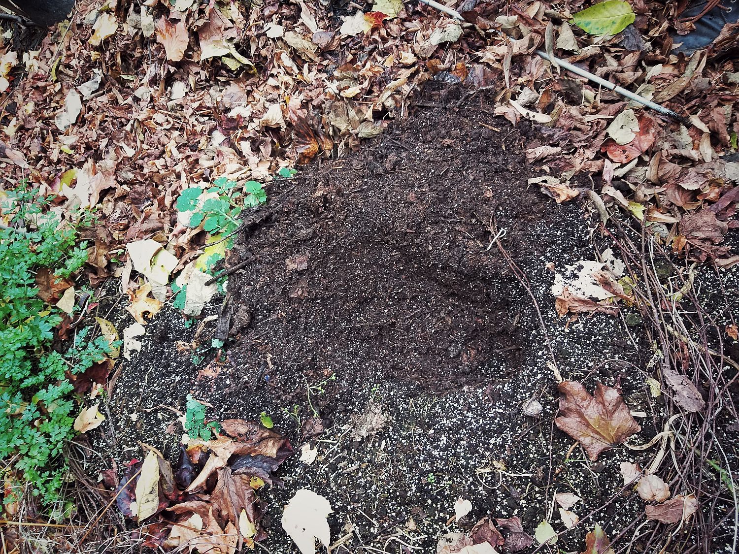 Compost grădină