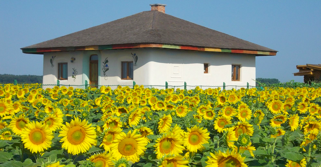 casa din chirpici floarea soarelui