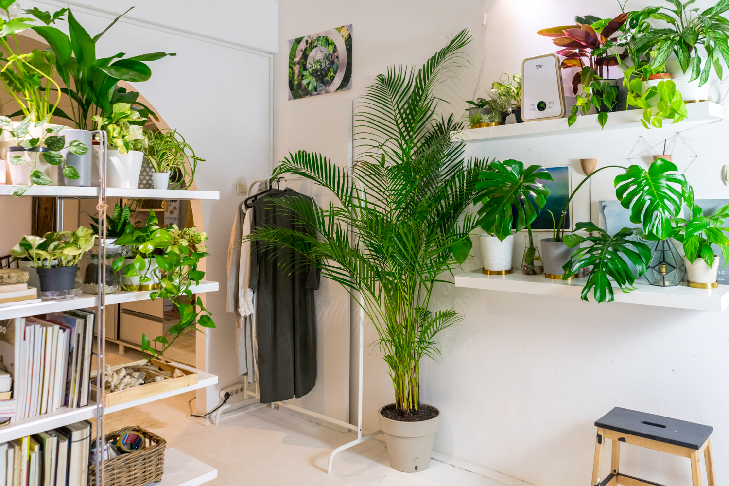garsoniera dubla bucuresti ingrijire plante (4)