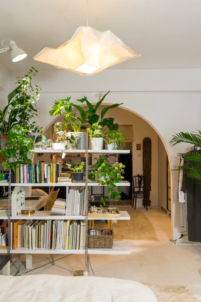 garsoniera dubla bucuresti ingrijire plante (6)