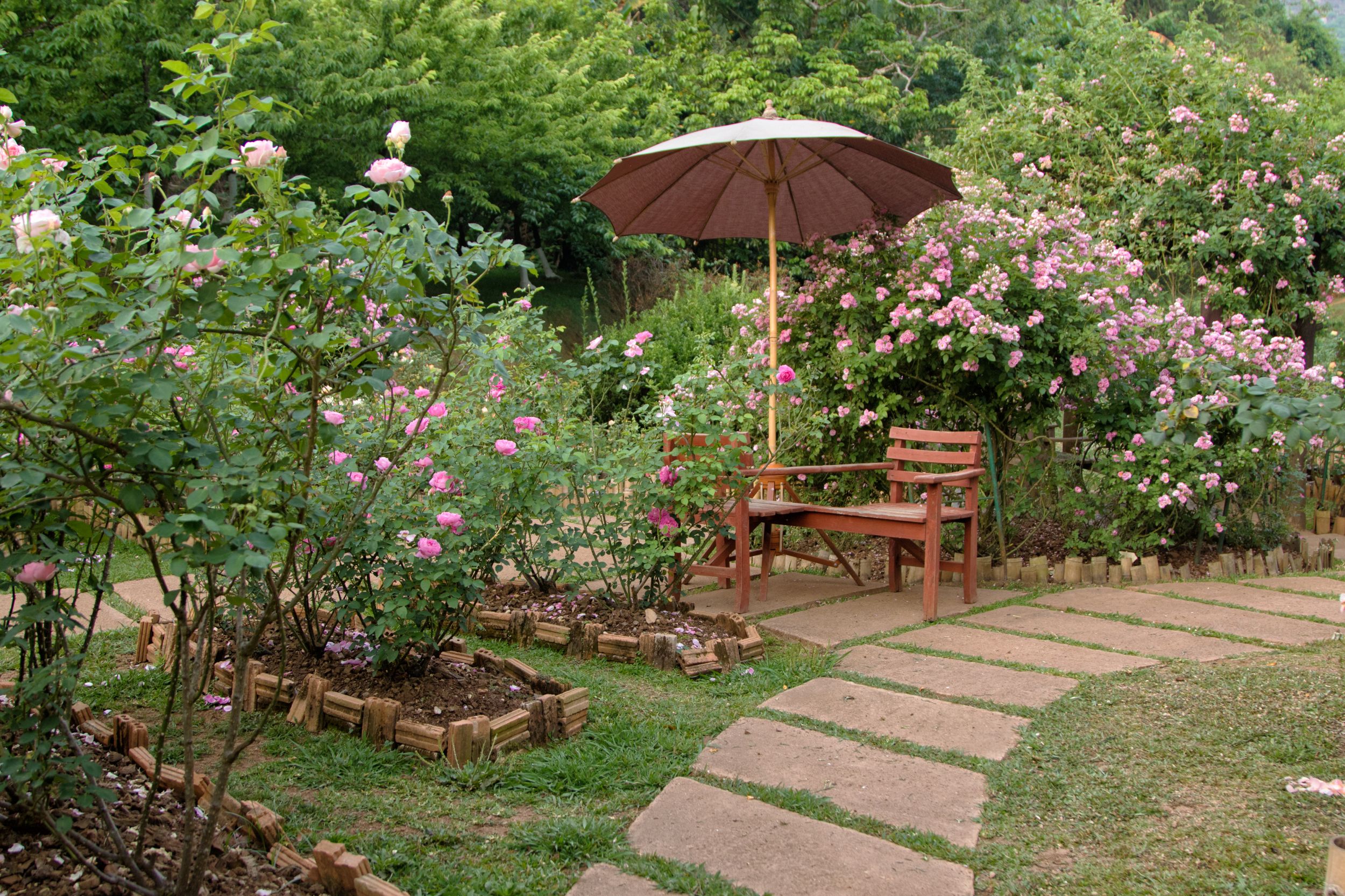 mobilier gradina lemn