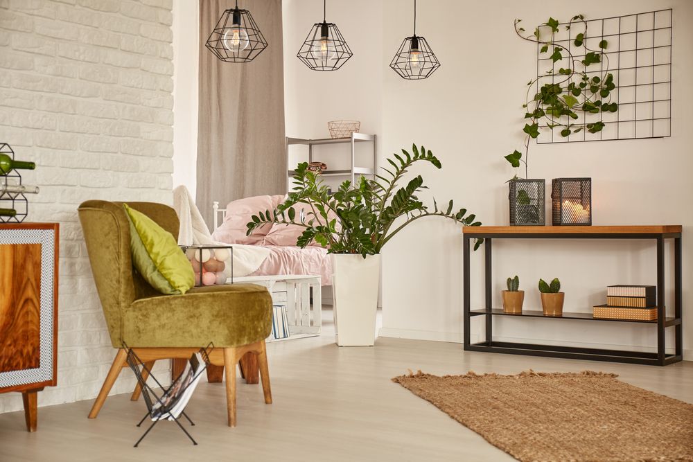 trenduri decorative plante agățătoare