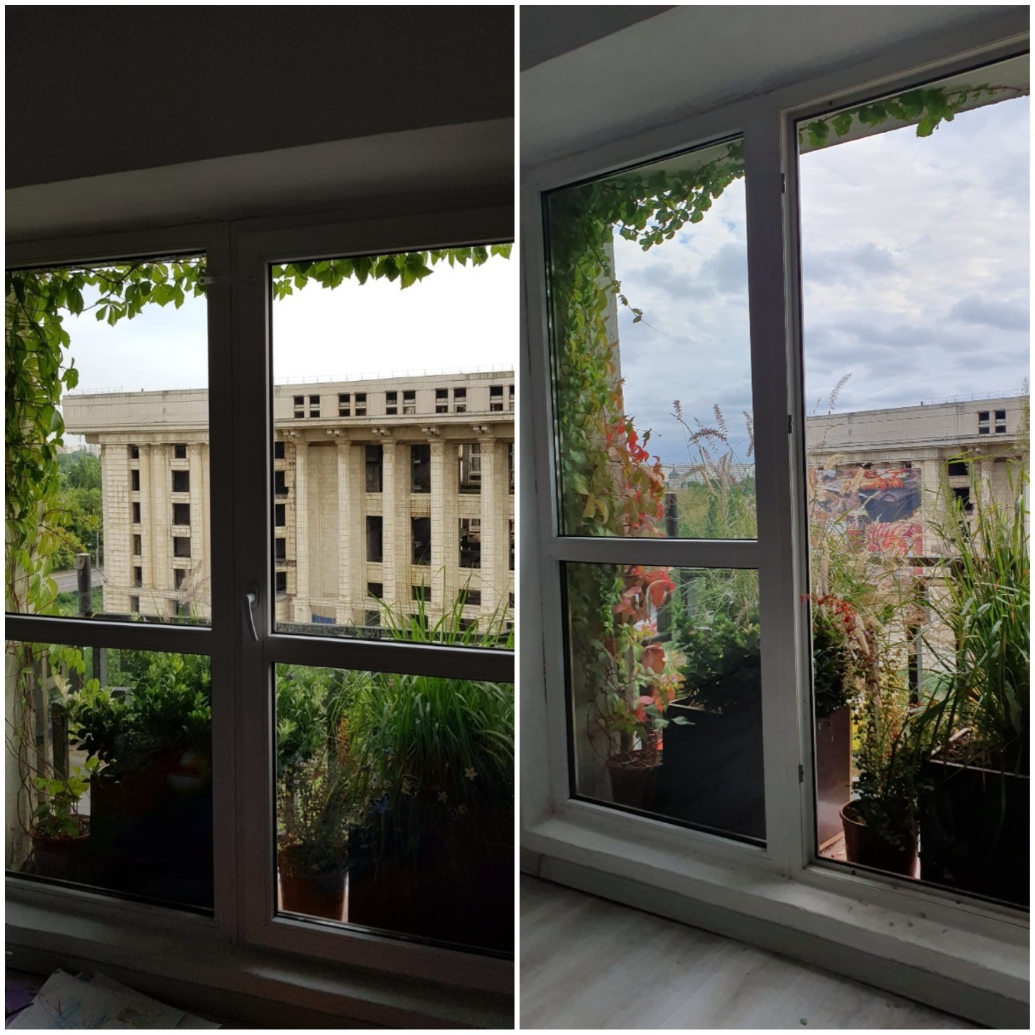Balcon plante