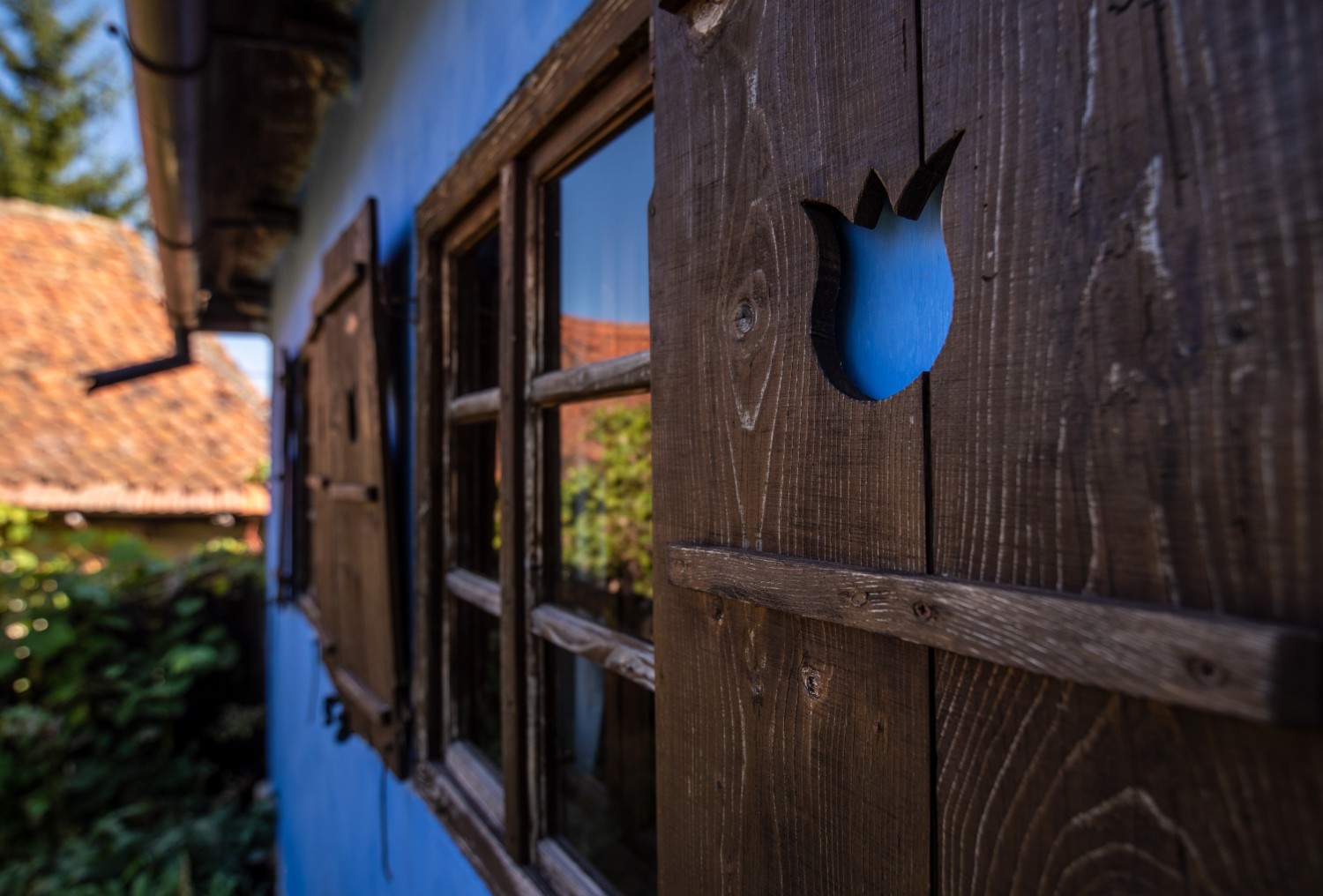 Casele de oaspeți ale Contelui Kálnoky din Micloșoara - Blue House