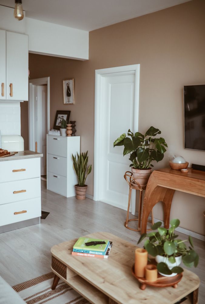 apartament cu aer de vacanţă