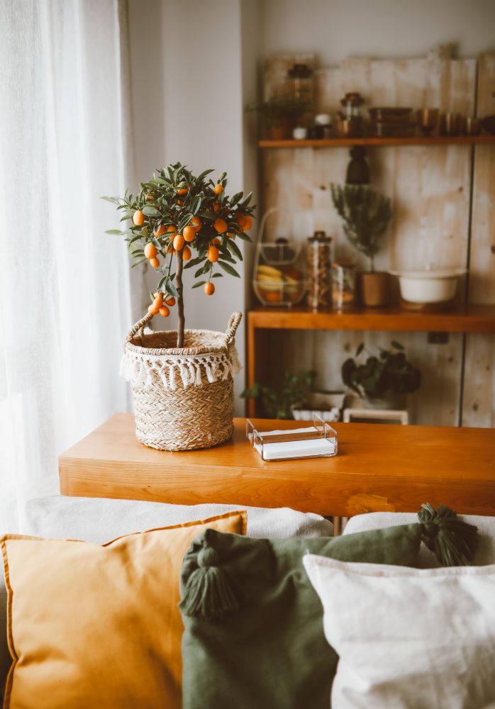 boho chic