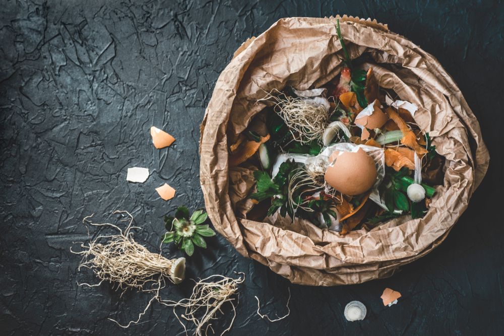 Casă eco compost