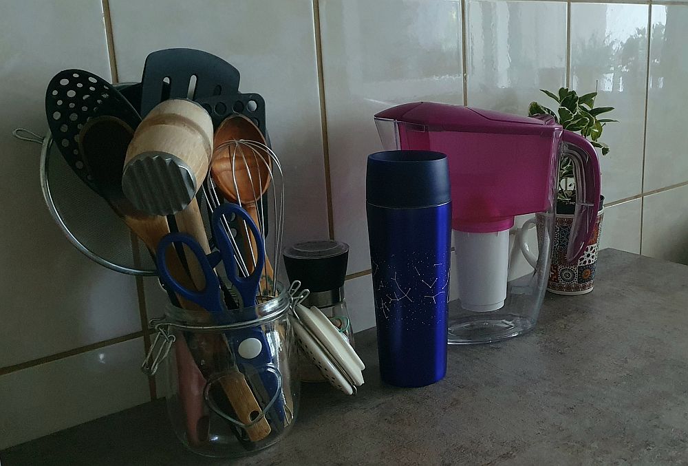 Sfaturi eco Dana Alecu