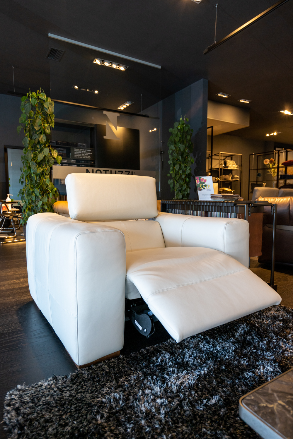 fotoliu cu recliner electric balance