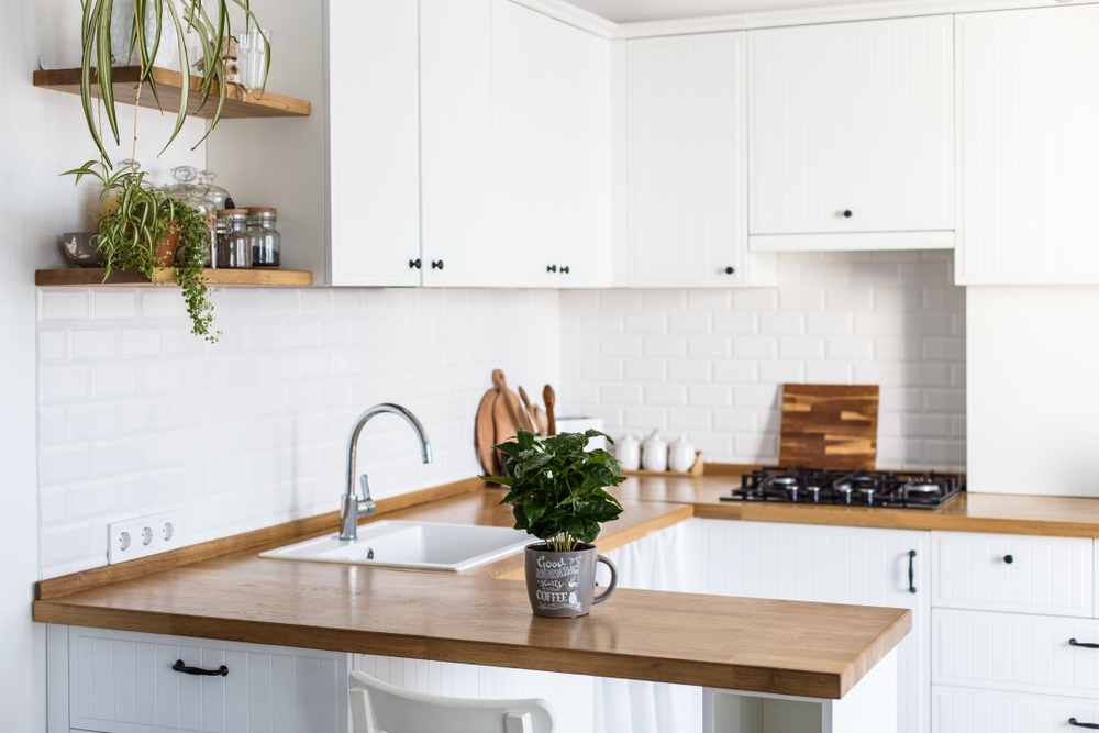 apartament chirie