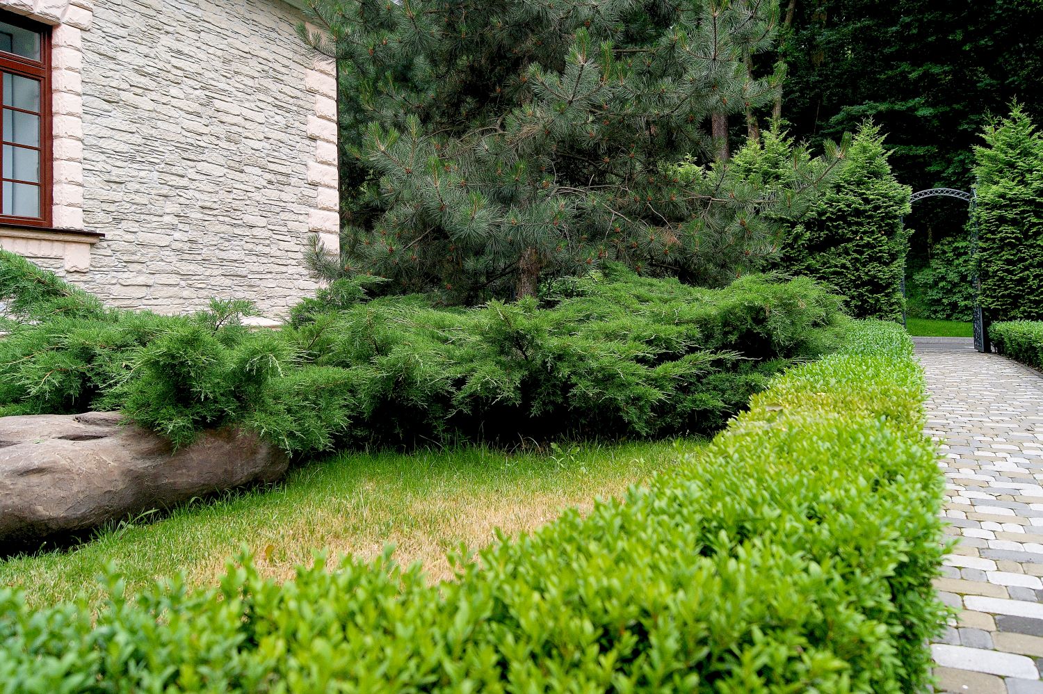 amenajare gradina rustica