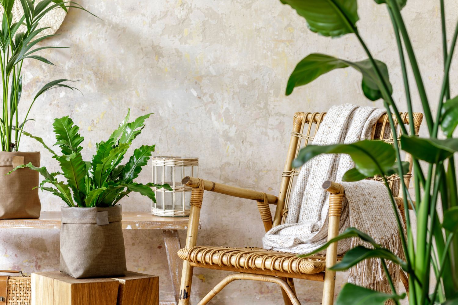 gradina tropicala