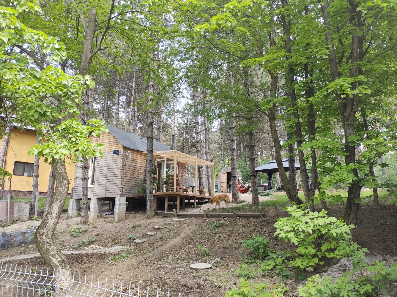 Constantin locuiește de cinci ani într-un tiny house