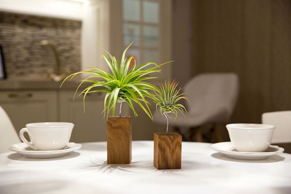 plantele aeriene alegere