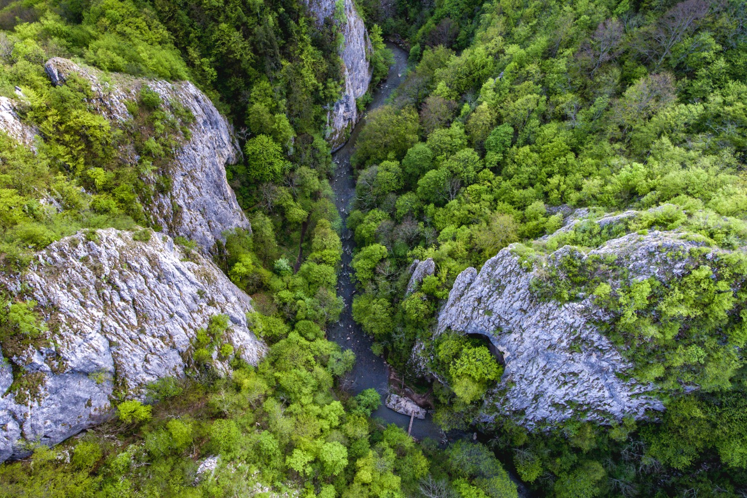 trasee turistice romania cheile varghisului