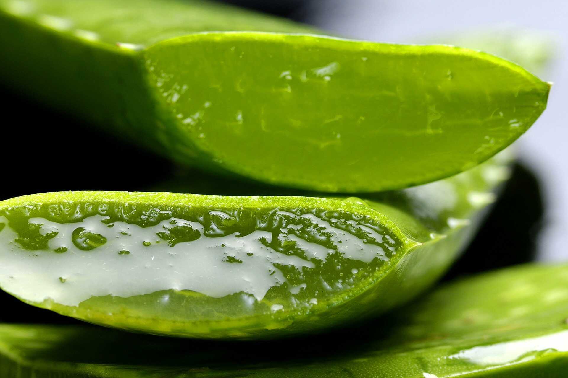 cu ce se curata uleiul de motor de pe haine aloe vera