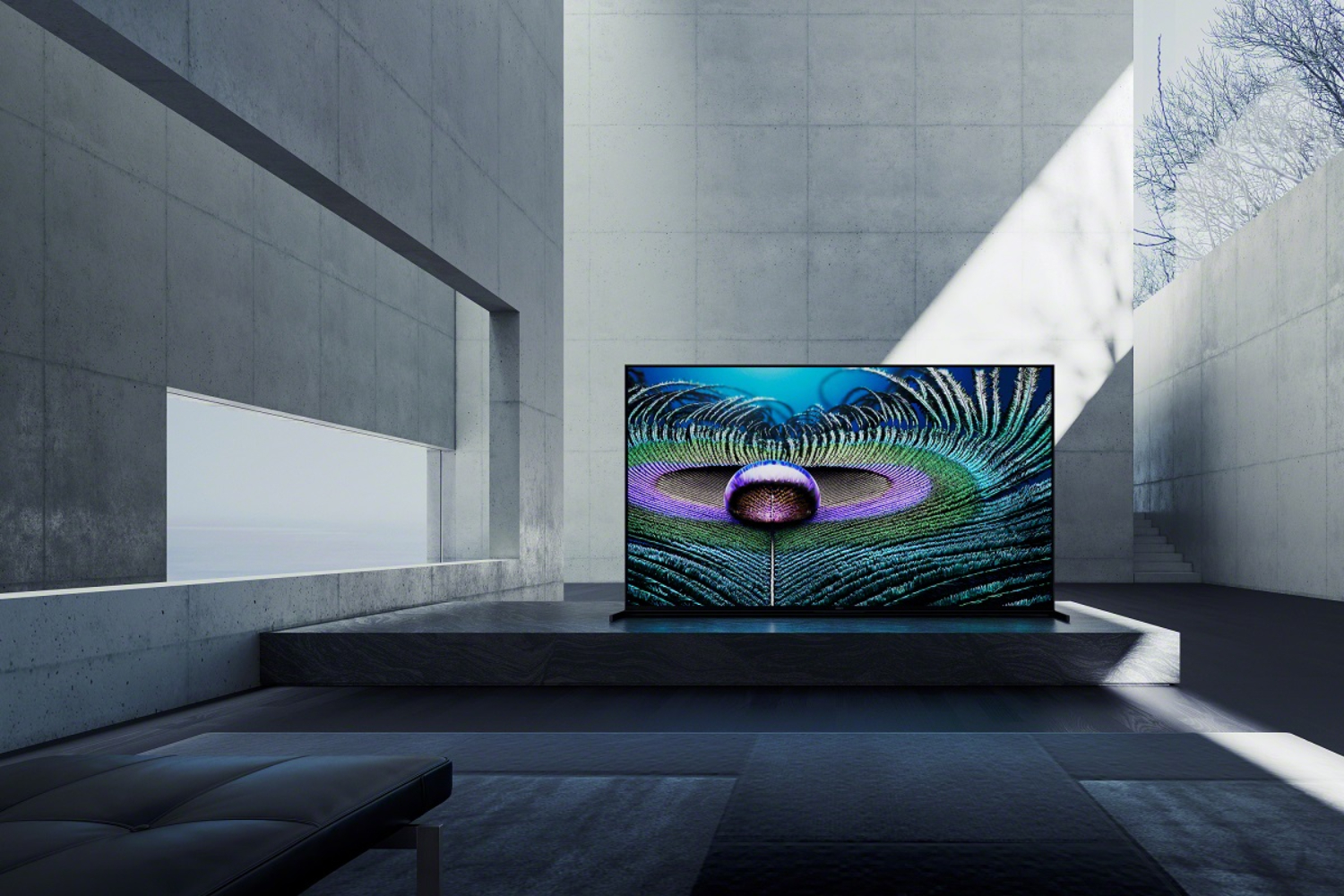televizor sony bravia