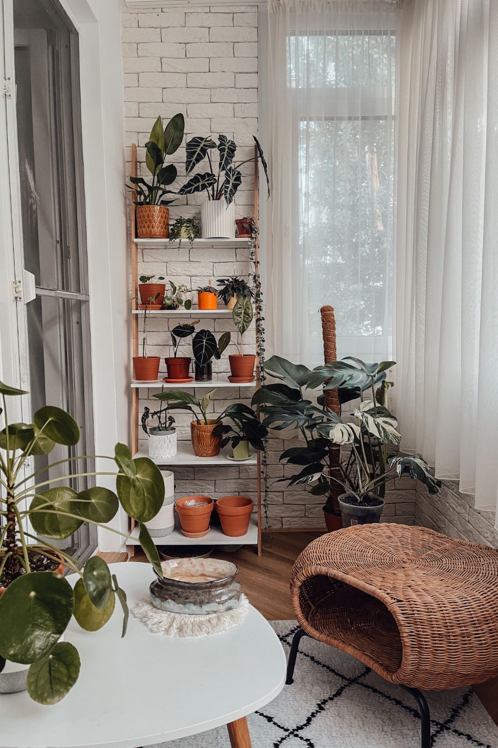 plante_balcon