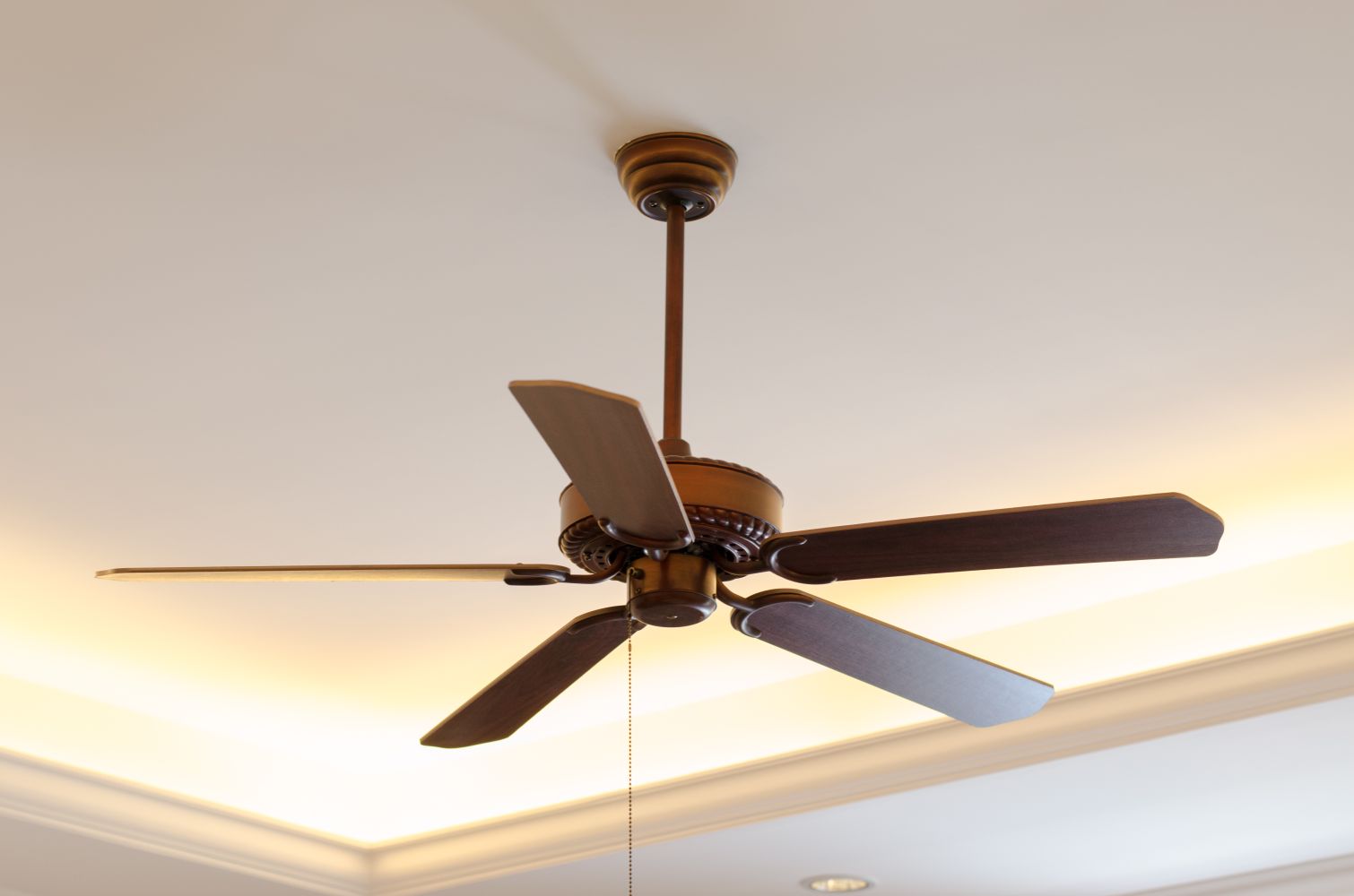 curatenie in casa lustre