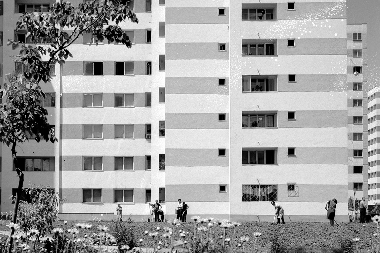 Monografia Drumul Taberei” (1973). Colecția de Imagini Mihai Oroveanu, courtesy of Anca Oroveanu și Salonul de Proiecte, mai multe pe www.photopastfuture.ro