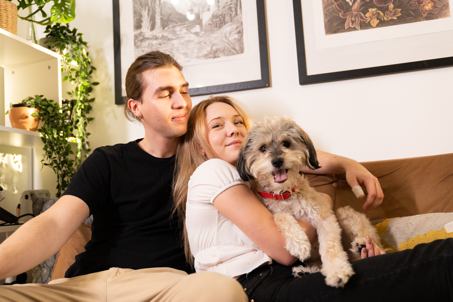 the dog s