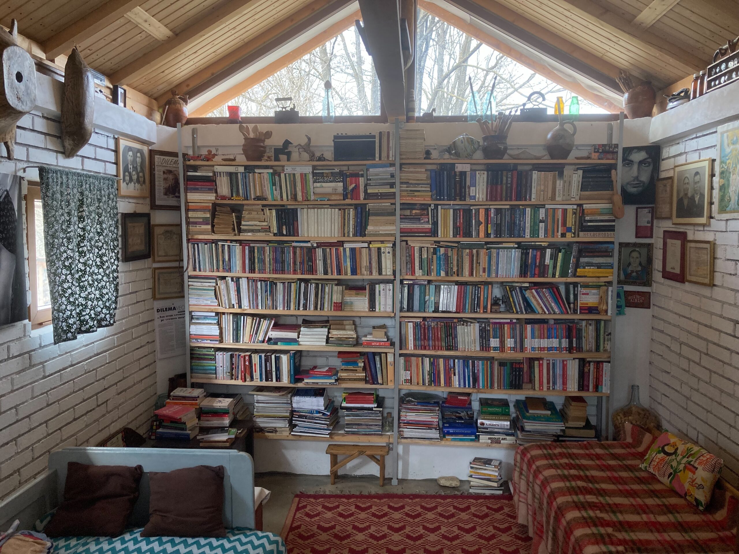 biblioteca marius chivu
