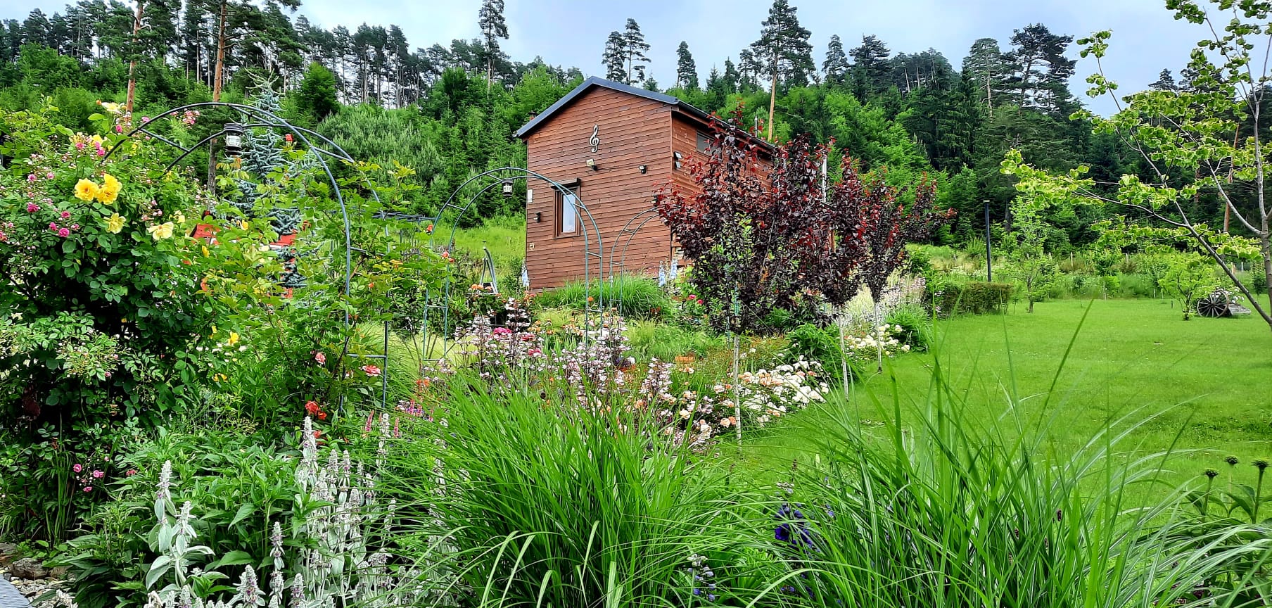 Marin s-a mutat într-un tiny house în 2017