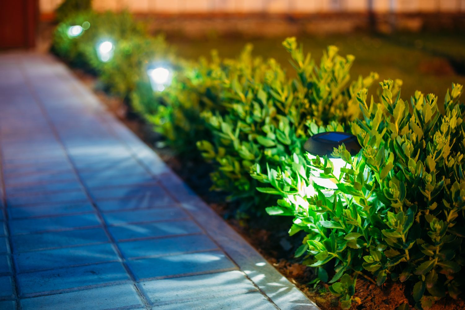 iluminatul gradinii