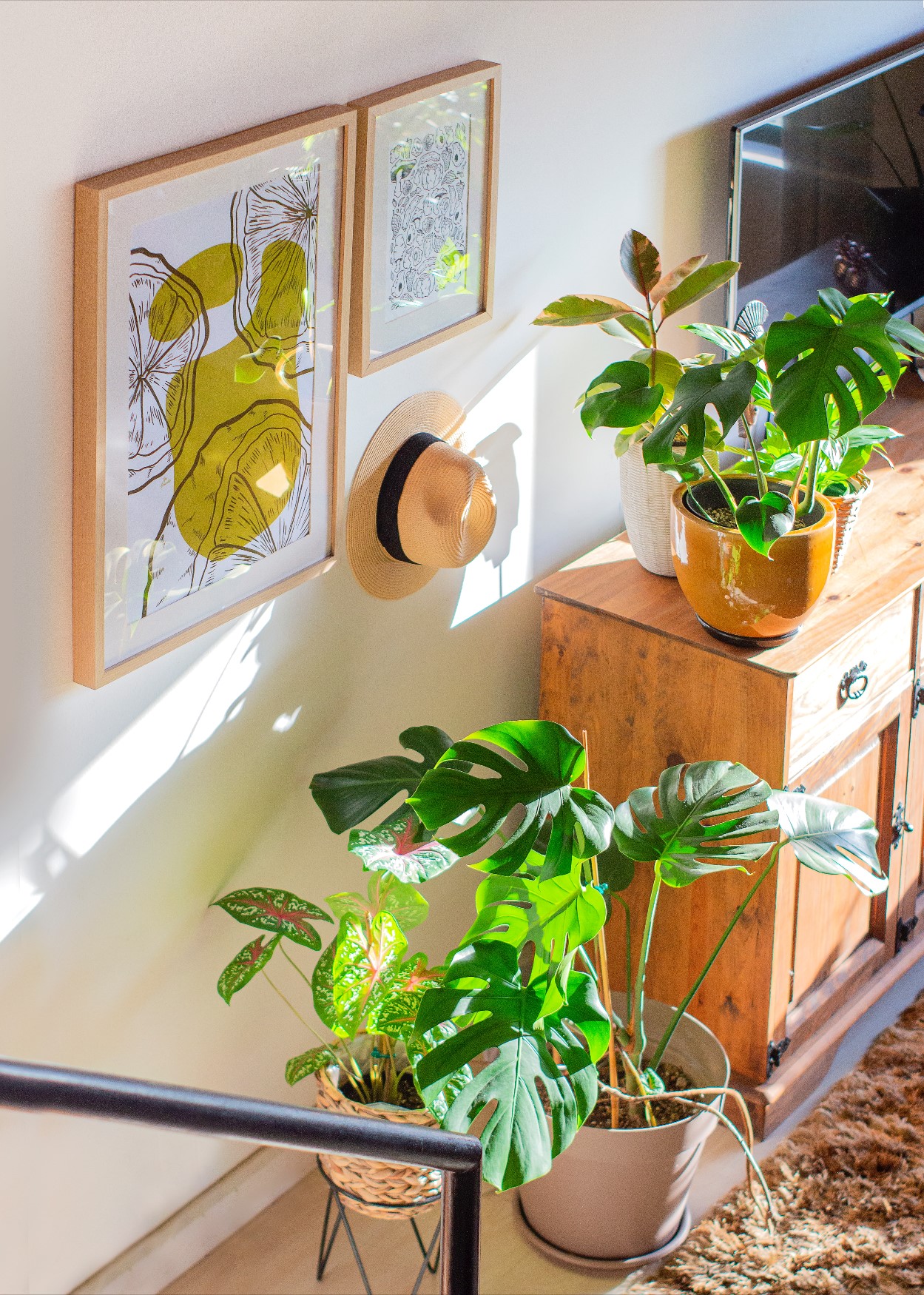 Psiholoaga mizează și pe o locuință unde există plante, multă lumină naturală, culori relaxante.