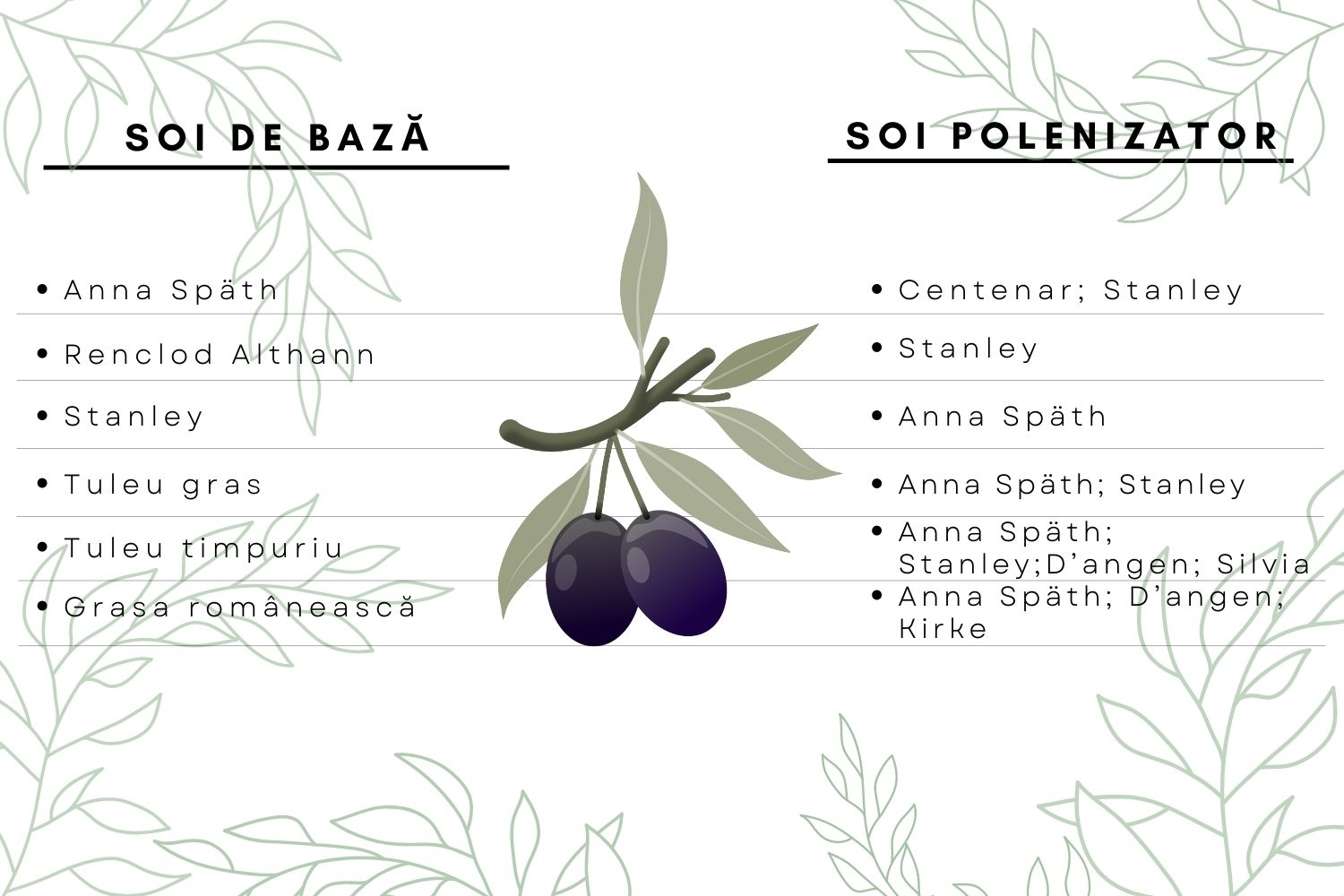 polenizatori prun