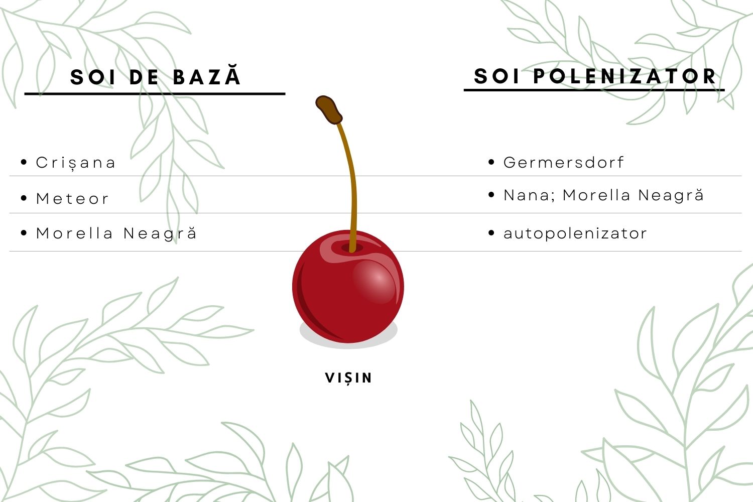 polenizatori visin