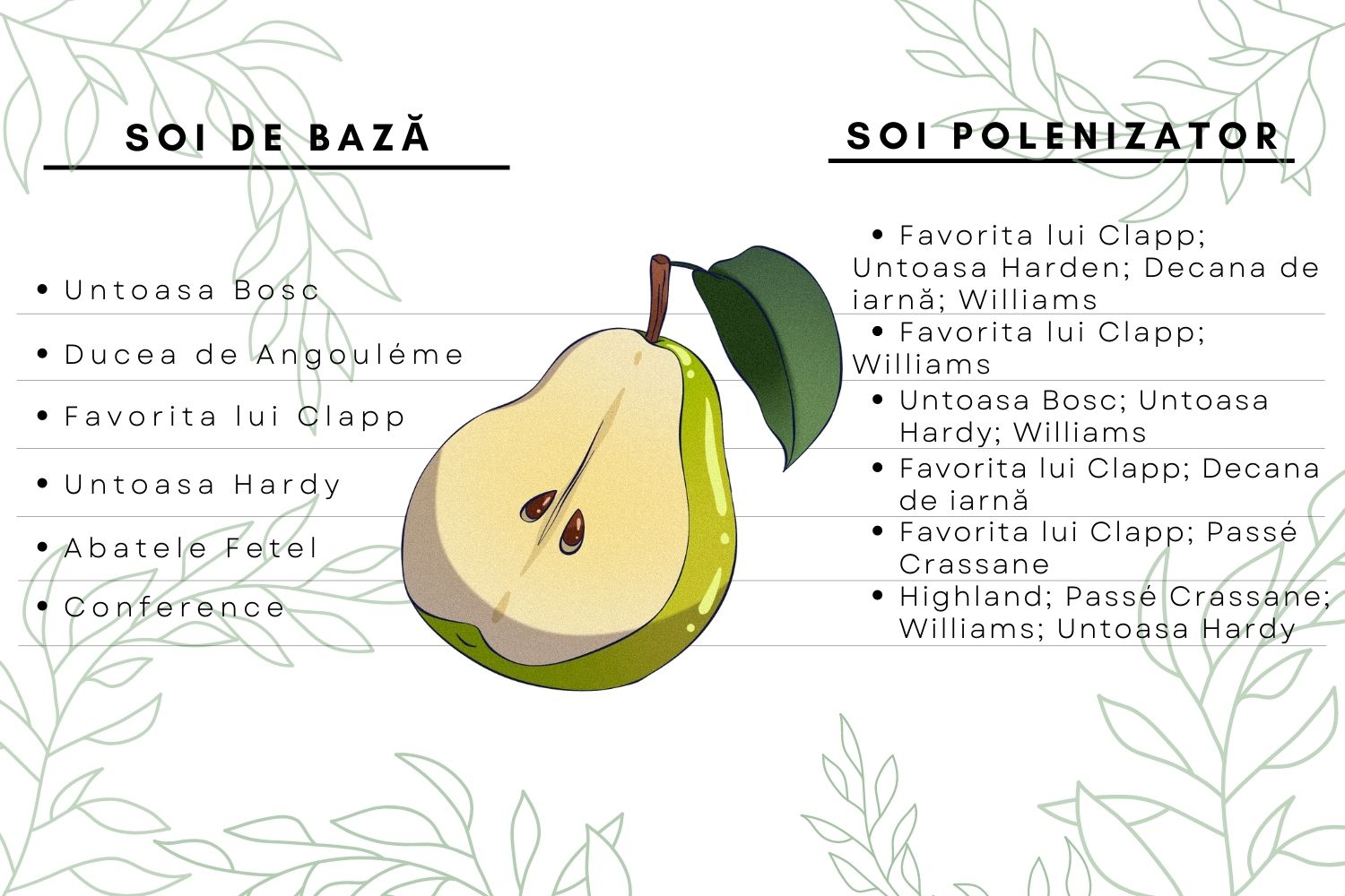 polenizatori par