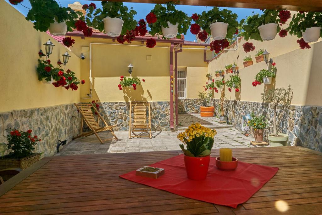 cazare vila esplanada pet friendly