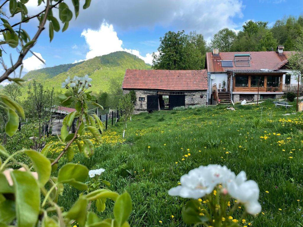 În Săcărâmb și-au găsit liniștea, un sat aflat la o altitudine de 800+ metri