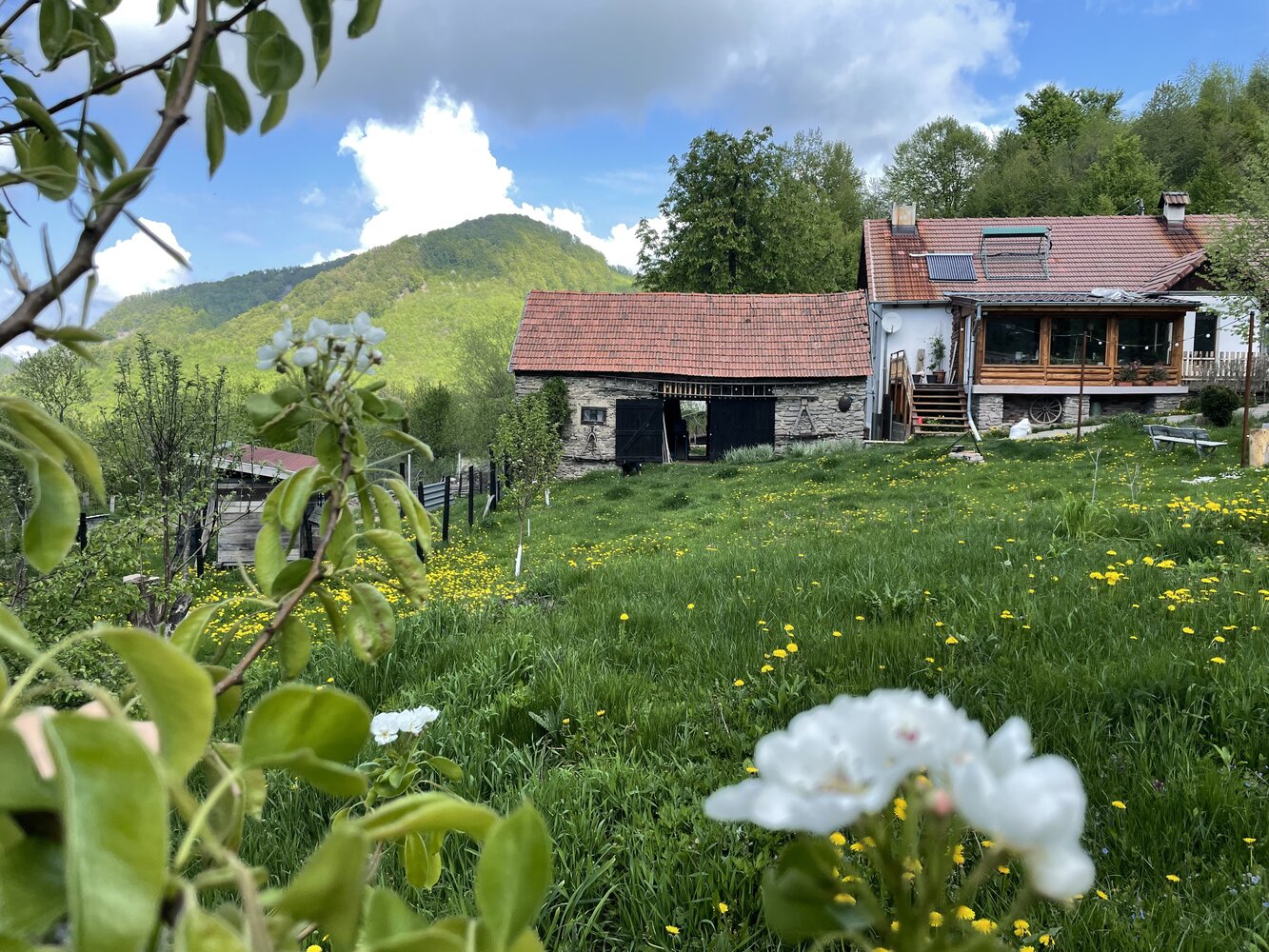 Viața sa sat - Monica