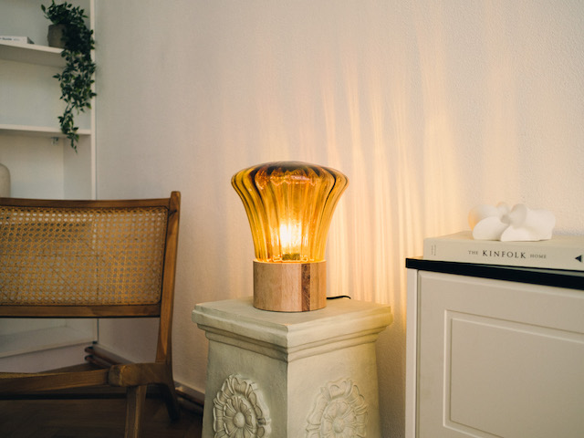 Dia Buga instalatie Lumina in miscare