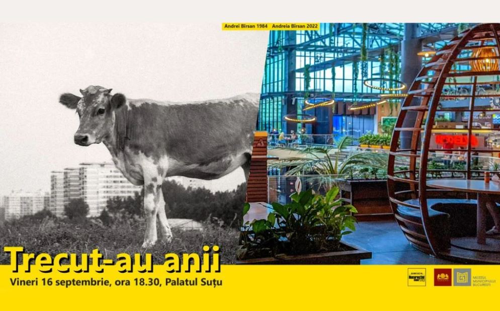 Trecut-au anii 2022 expozitie palatul sutu