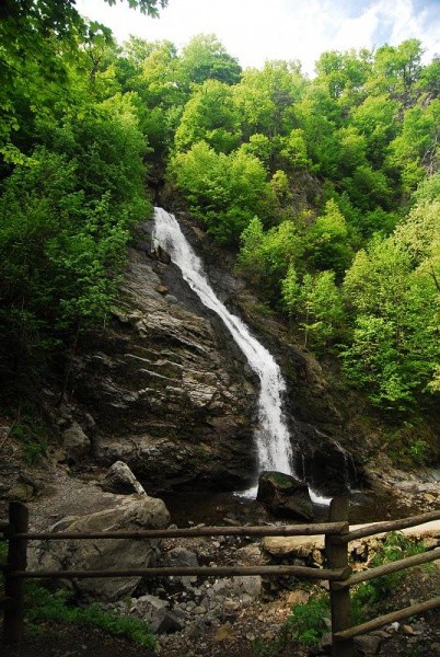 Cascada se află în Parcul Național Cozia