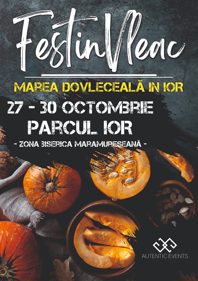 FestinVleac facebook