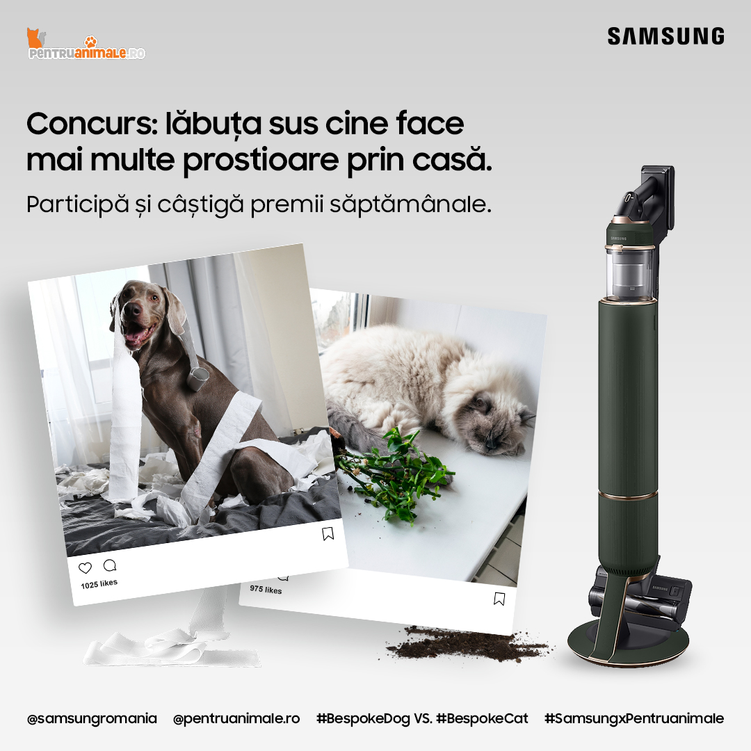 concurs samsung 