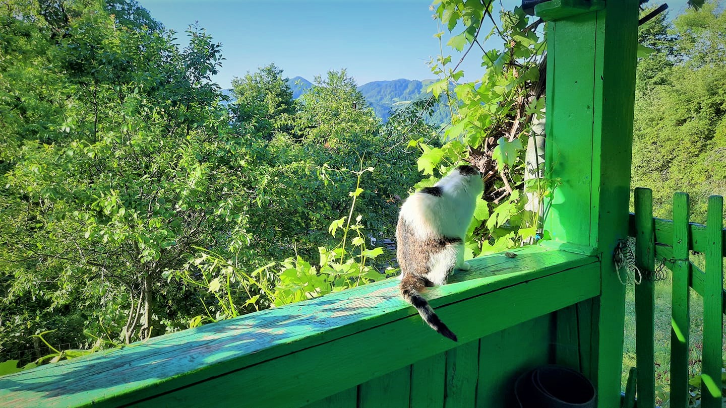Partea din capăt a prispei a închis-o și acolo a făcut baia