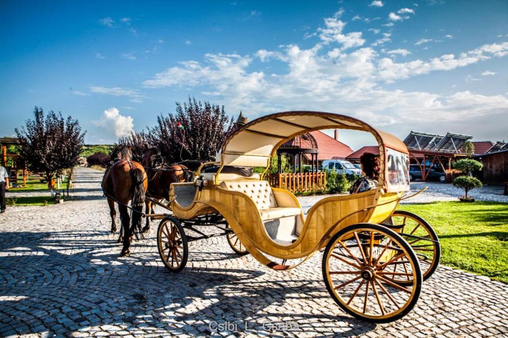 castelul haller booking
