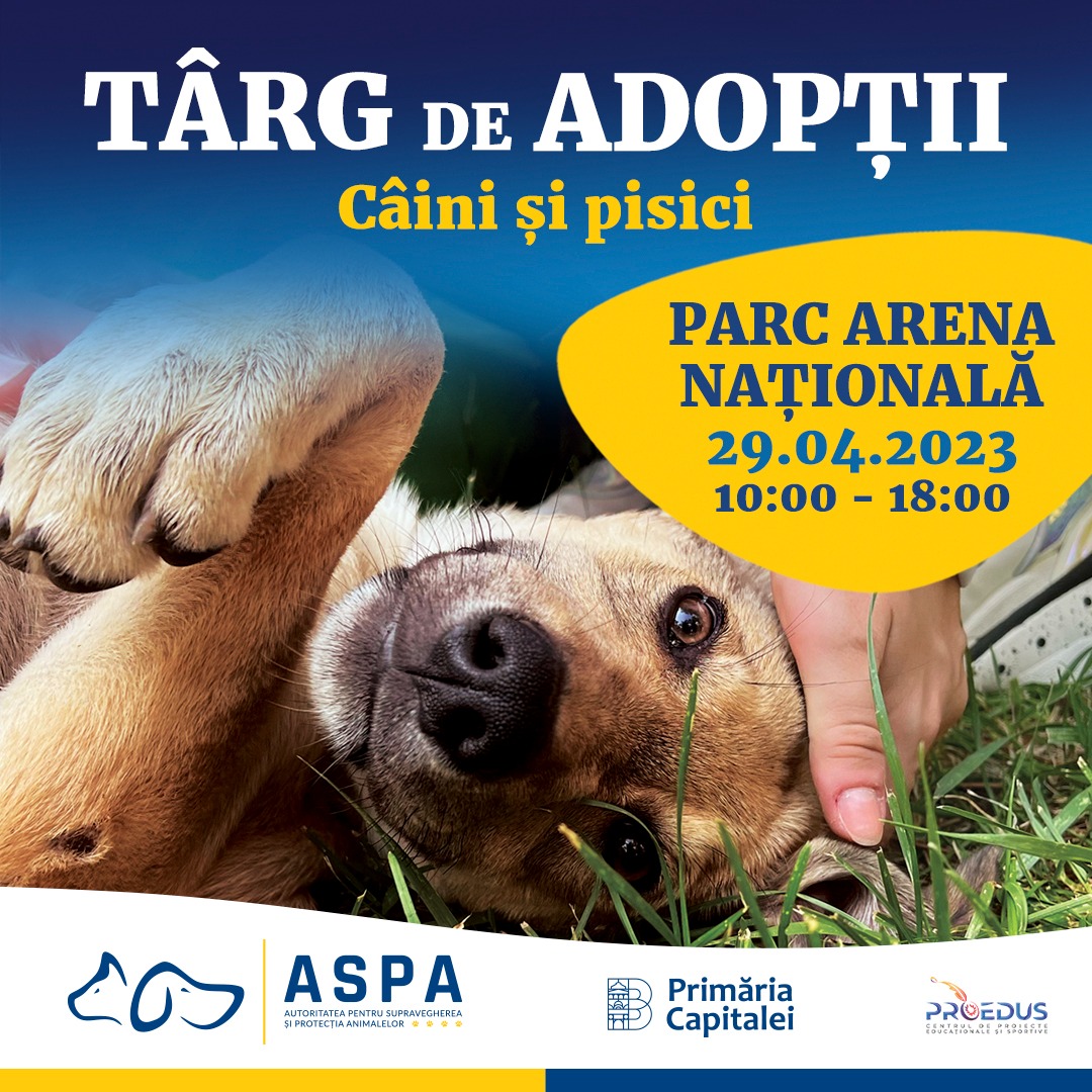 targ adoptii aspa