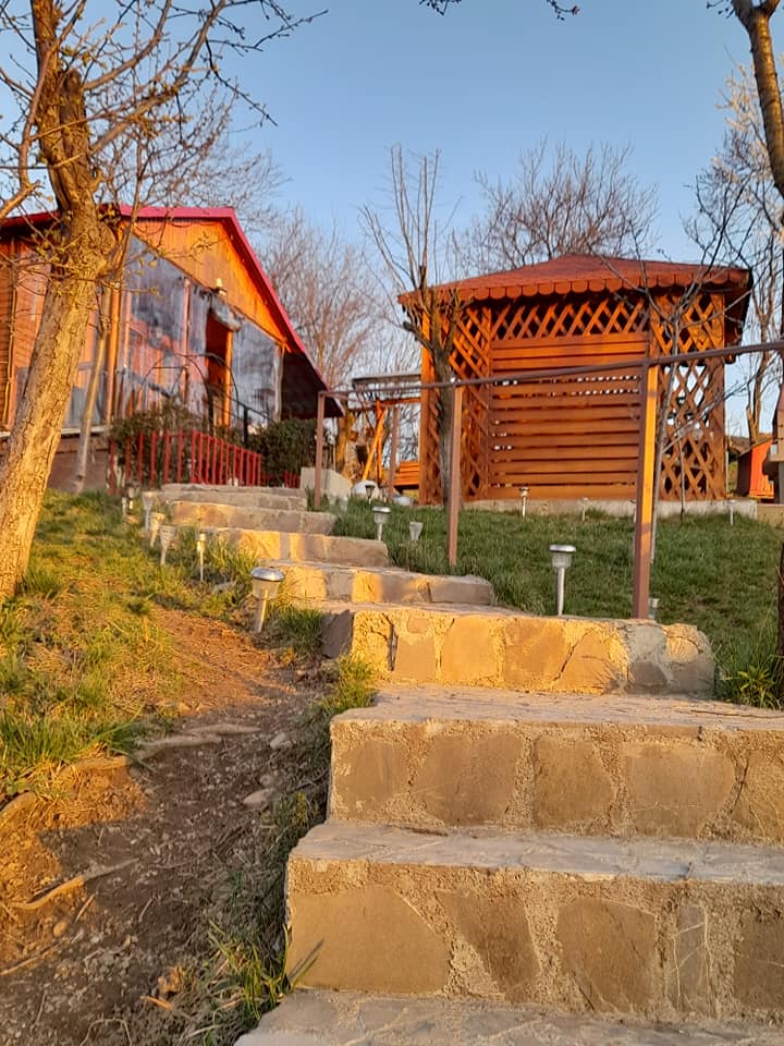 Adriana are o pasiune pentru luminițe și și-a decorat întreaga curte într-un mod inedit