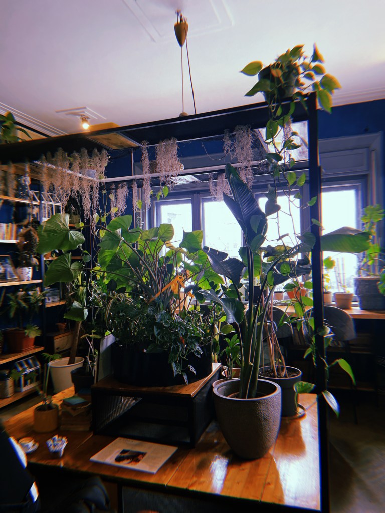 Botanica