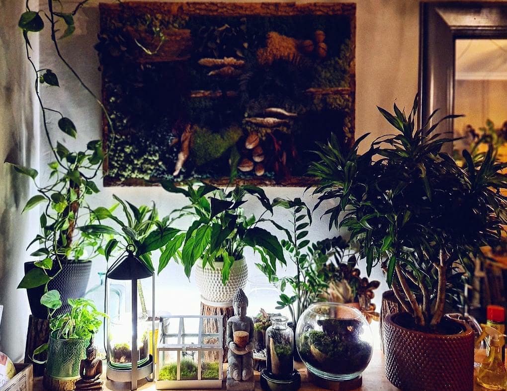Botanica