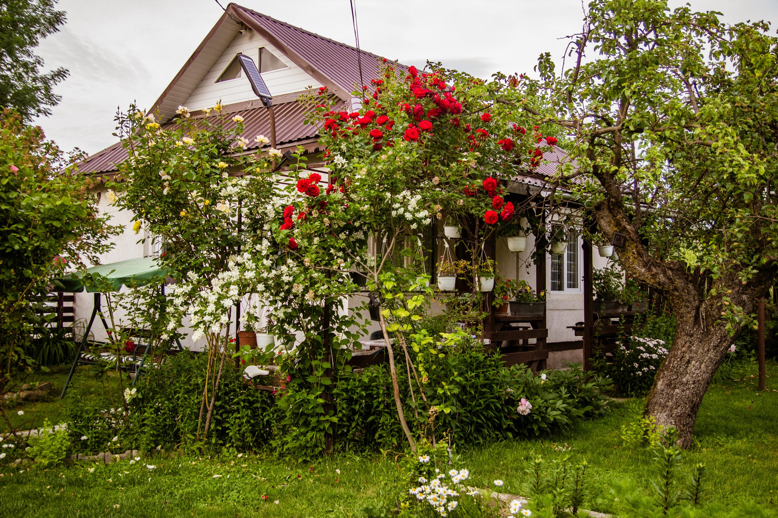casa părintească
